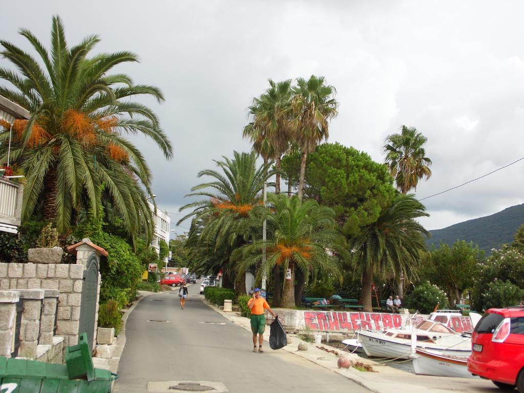 Apartment Begonia Of Kumbor Herceg Novi Exterior photo